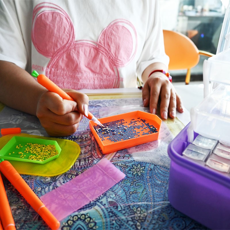 Diamond Embroidery Tools Carro - Embroidery Beads recension och pris