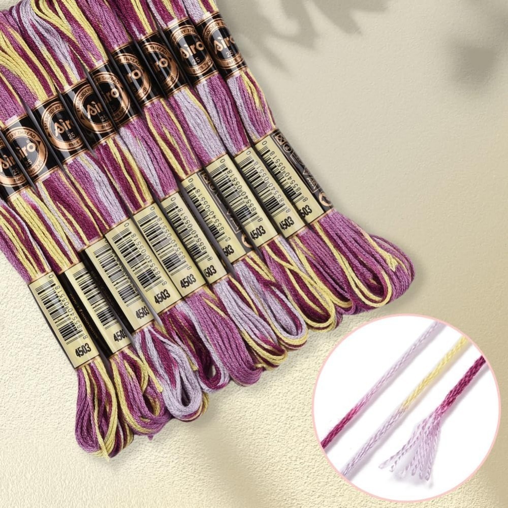 6 Strands Purple Variegated Em - Embroidery Gift recension och pris